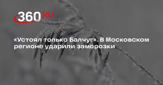 Синоптик Леус: заморозки в Москве сохранятся до конца недели