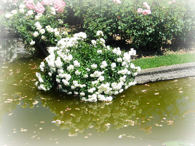 1 (46) (700x525, 548Kb)