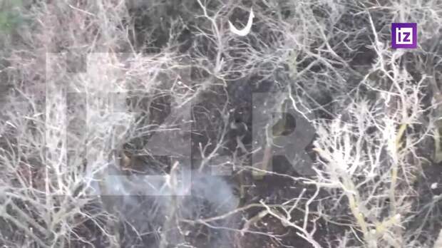 "Противник подавлен и сломлен": военные – об освобождении Закотного