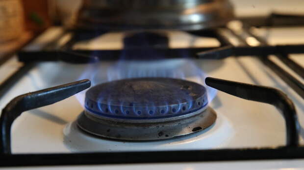 Семья с младенцем насмерть отравилась газом в Подмосковье