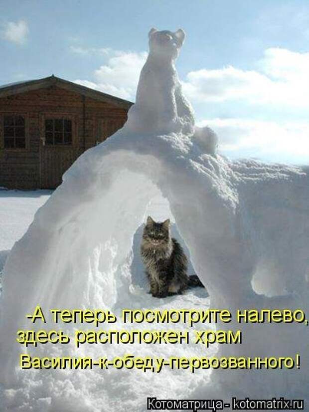 Новая котоматрица для настроения. Смотрим приколы