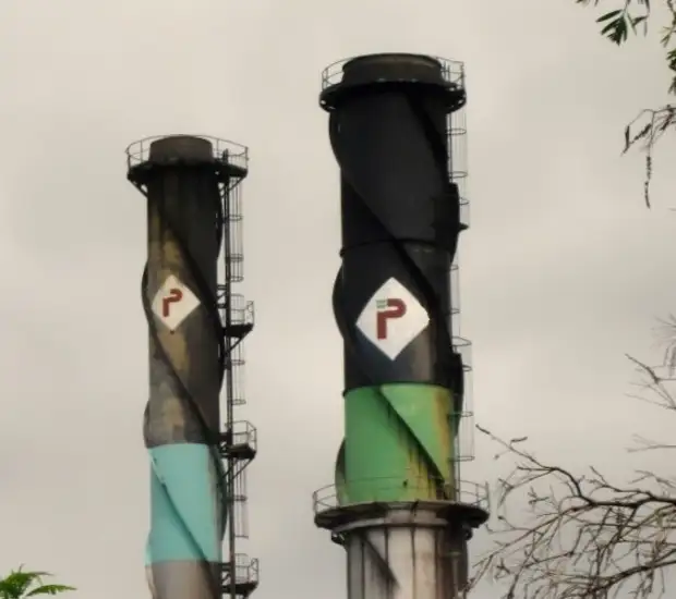 В потоке. Как губка проживает на дне океана