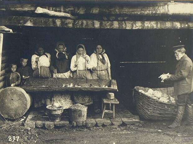 Рубка капусты. Неизвестный автор, 1900–1905 год, Оренбургская губ., Кунсткамера.