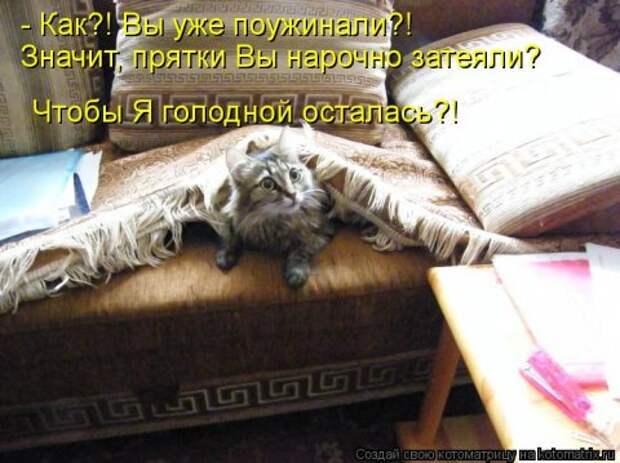 Новые крутые котоматрицы первой недели октября (50 фото) Новые крутые котоматрицы первой недели октября (50 фото)