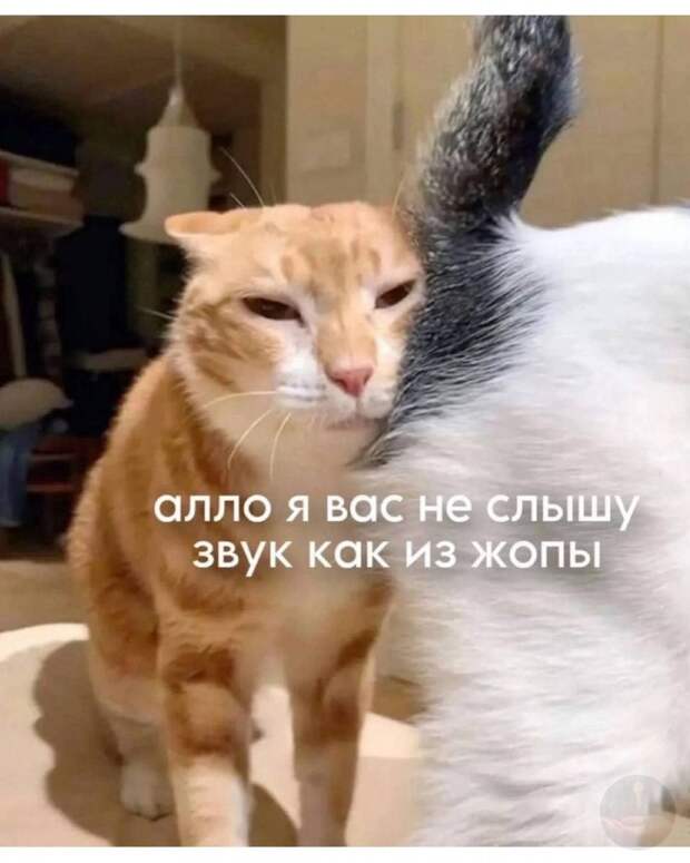 Когда звонишь по вацапу
