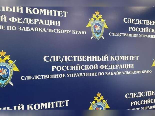 Бастрыкин взял на контроль расследование убийства мужчины в Борзе (18+)