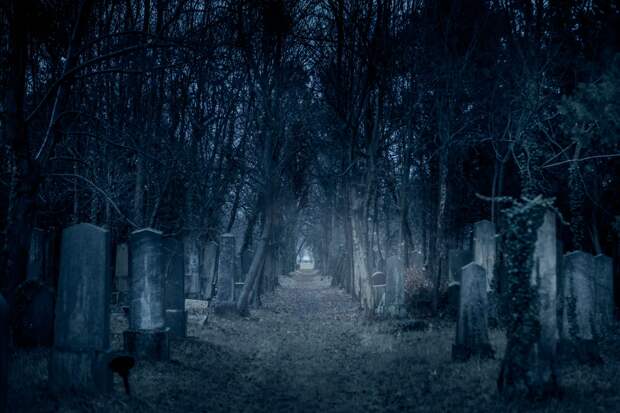 В темноте, при свете дня, кладбище зовёт меня 