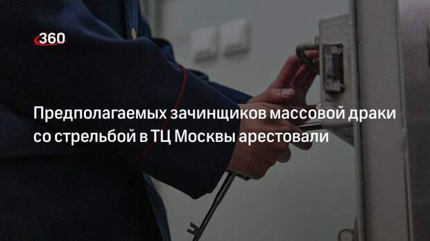 Предполагаемых зачинщиков массовой драки со стрельбой в ТЦ Москвы арестовали