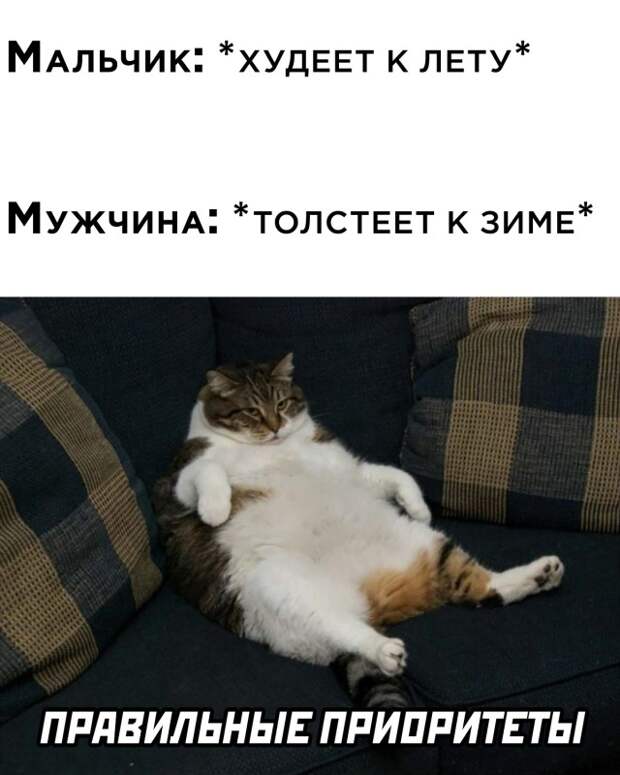 Смешные картинки вечер 15 октября 2021 года