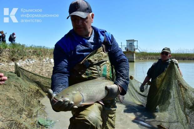 Рыбохозяйственные предприятия Крыма получат 1 миллиард рублей господдержки