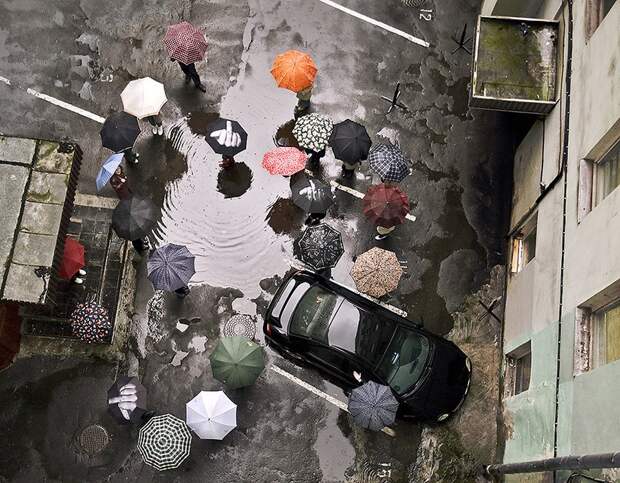 Umbrellas22 19 удивительных зонтов для осени
