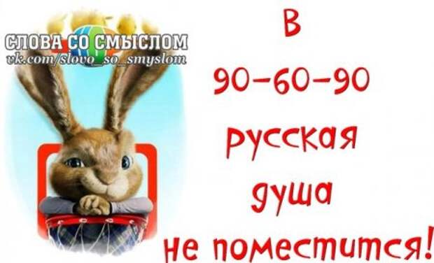 Веселые цитаты в картинках.