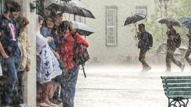 На половине территории России – ливни и ветер: прогноз на ближайшие дни