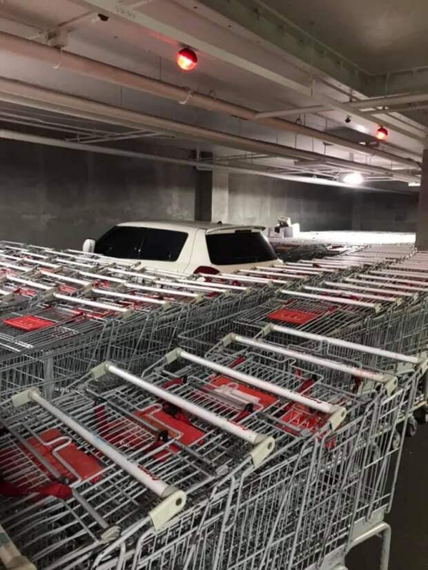 Подборка картинок. Дневной выпуск (23 фото)