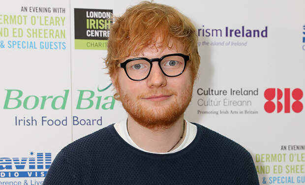 Эд Ширан занялся садоводством, земледелием и животноводством