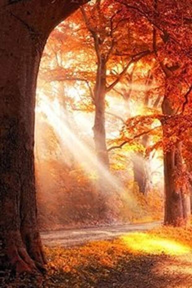 http://cdn-nus-3.pinme.ru/pin-upload-static/photos/31d9fec8fc975a850fd493a47a61d19c_m.jpg