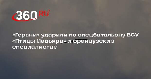 Поддубный: «Герани» поразили спецбатальон «Птицы Мадьяра» и французских военных