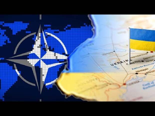 Полковник Баранец: Мы боремся с огромной военно-политической кодлой