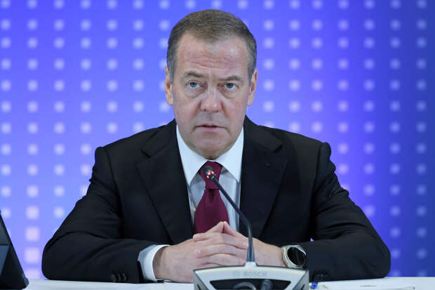 Профессор Дизен призвал услышать слова Медведева об ударах по производству БПЛА