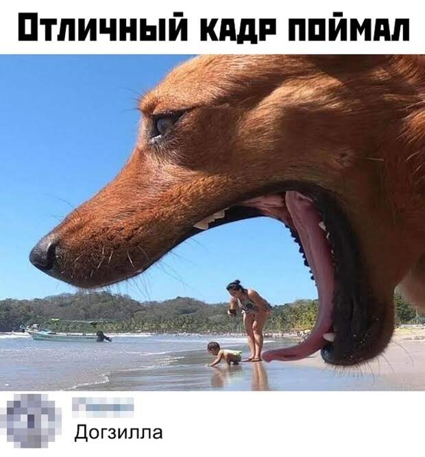 Подборка картинок (31 фото)