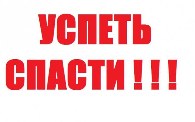 Один из жильцов и сотрудники жилконторы активно выступают против этих солнечных малышей... Люди, нужна любая ваша помощь!!!