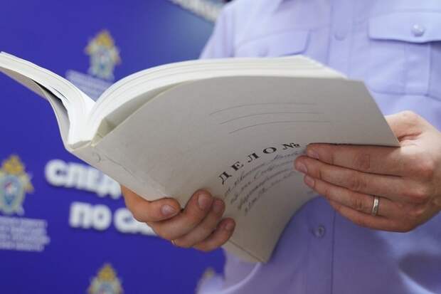 Решение судьи — сигнал к началу госпереворота в России?