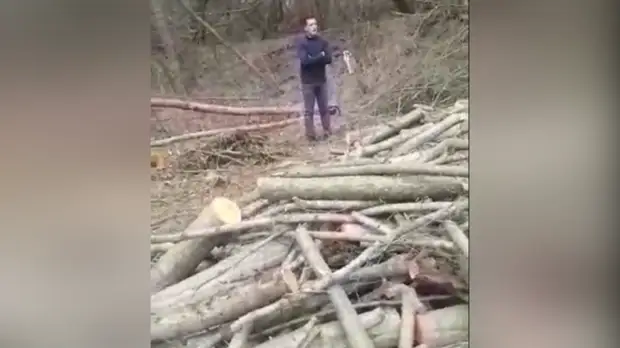 Черных лесорубов поймали жители станицы на Кавминводах