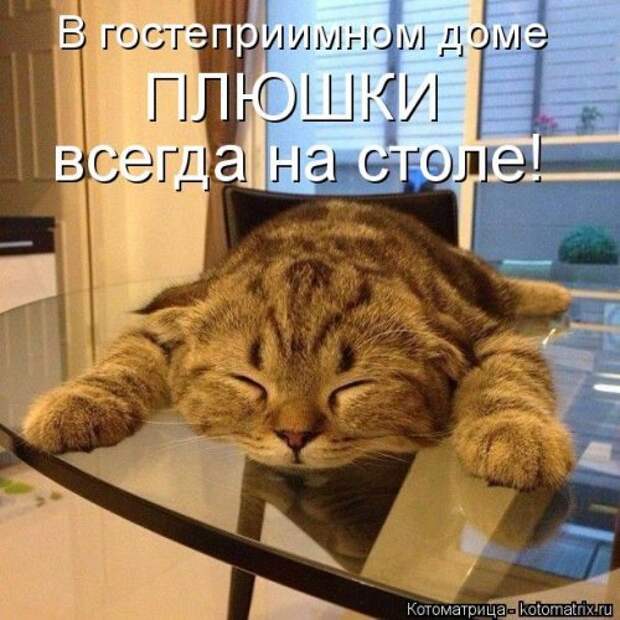 Новая котоматрица для настроения. Смотрим приколы
