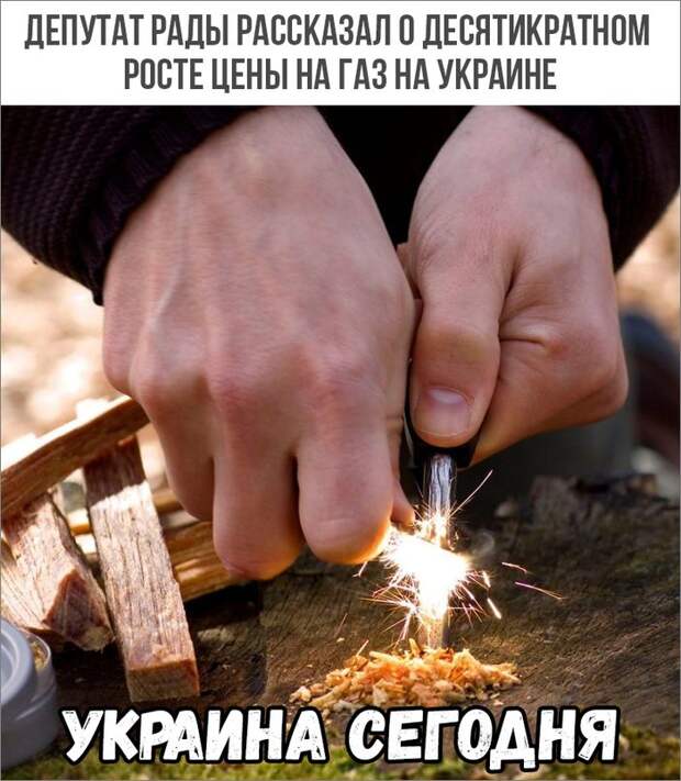 1498ac38251727cea8.jpg