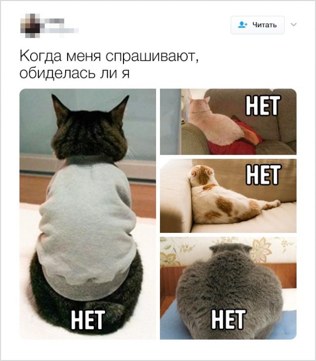 Смешные твиты от людей с хорошим чувством юмора (20 скриншотов)