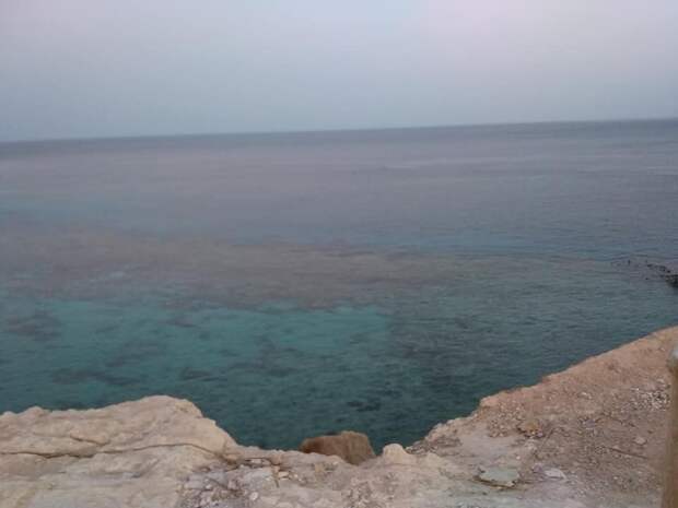 Законы Красного моря