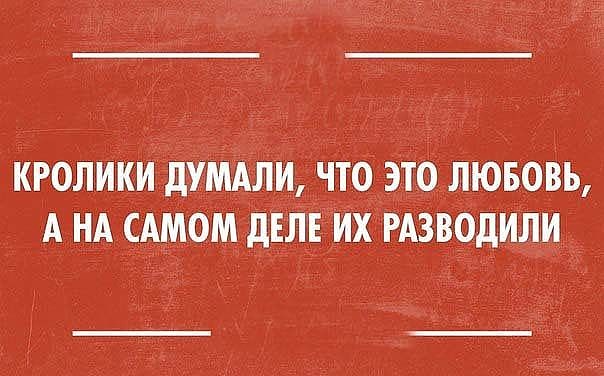 Жизнь дала мне два важных урока. Первым я уже не помню, а второй - всё нужно записывать Жизнь дала мне два важных урока. Первым я уже не помню, а второй - всё нужно записывать человек, подали, башня, регулярно, боpодавки, исполнял, развод, заявление, Дорогая, причине, получитсяЖенская, объясните, Тогда, характер, идеальный, раздражали, Получилось, которые, характера, черты