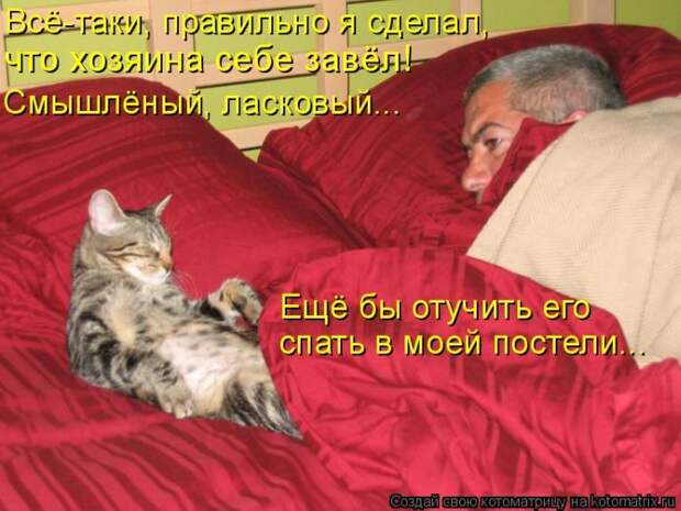 Мысли вслух :)