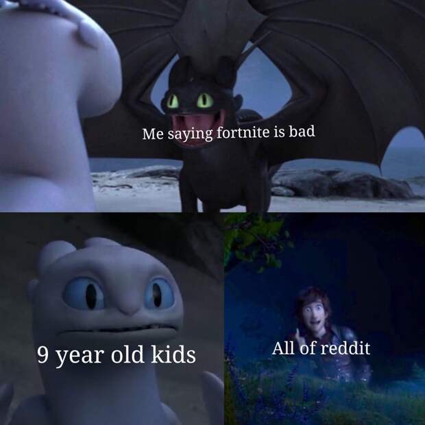 Toothless dragon and Light Fury memes