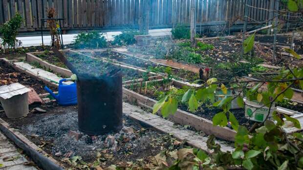 Удобрения, которые любят бывалые дачники: осенний рецепт плодородия
