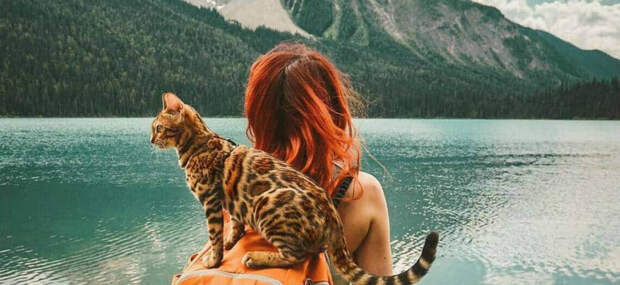 Фото, доказывающие, что иногда жизнь котов намного интереснее нашей