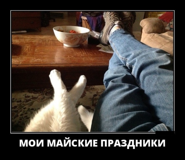 Демотиваторы (30 фото)