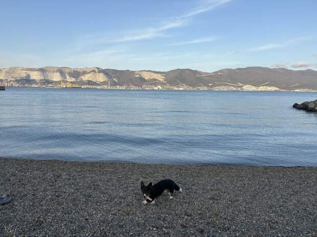 Весеннего тепла не ждать: что готовит погода на Кубани