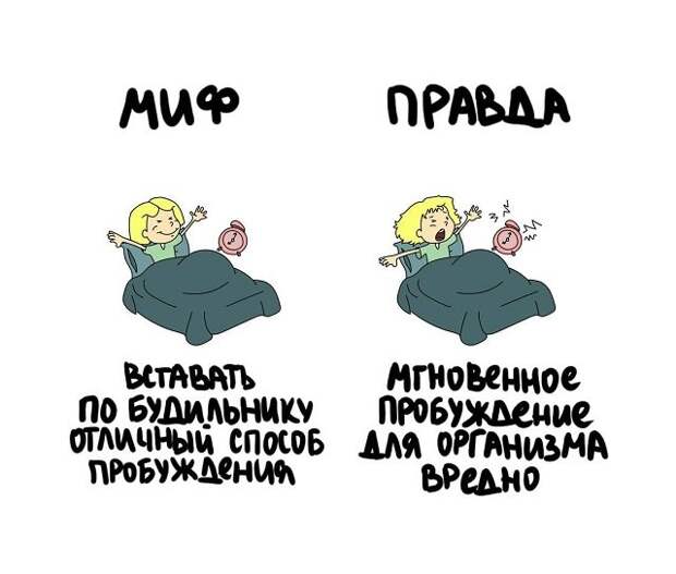 Самые разные короткие факты на все случаи жизни