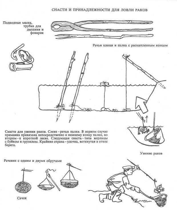 Умелые методы ловли раков