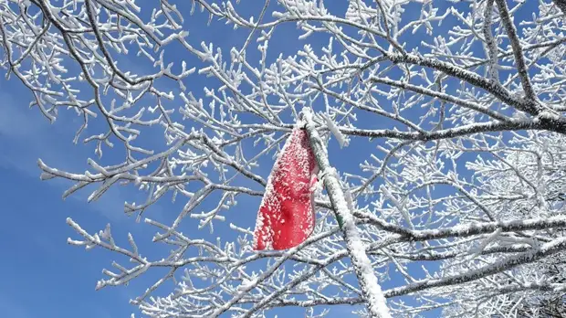 Синоптики предупредили об ухудшении погоды в Курганской области