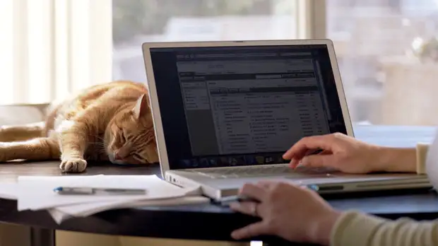 В Подмосковье продлили удалённый режим работы для 30% сотрудников