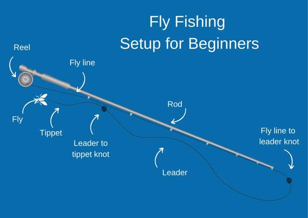 An infographic showing a generic fly fishing gear setup with the rod, fly line, reel, leader, tippet, and fly