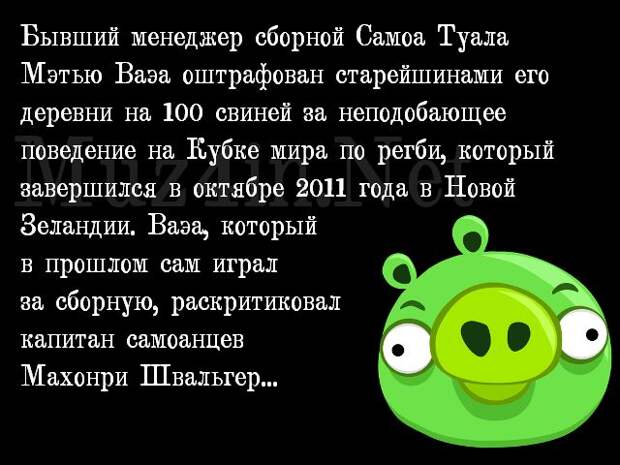 Глупые мировые новости в картинках (20 фото)