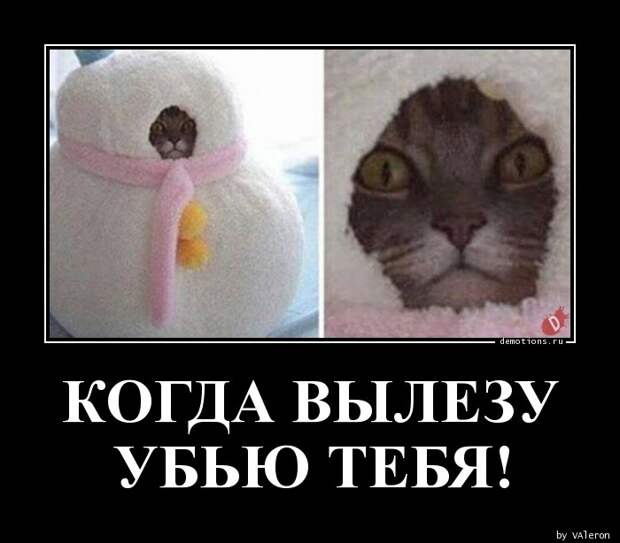 Демотиваторы демотиваторы, прикол, юмор