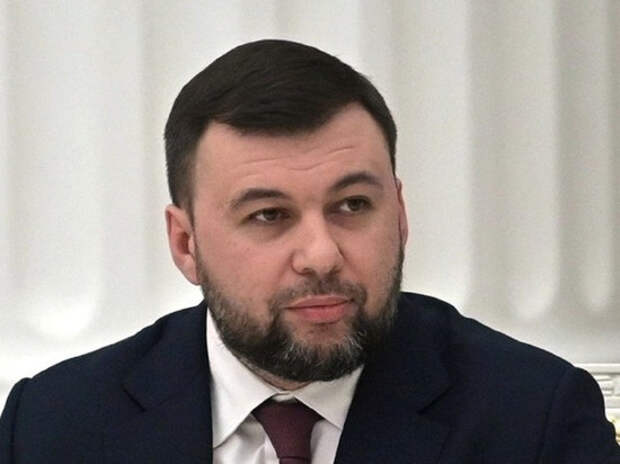 Пушилин заявил, что не видит оснований для помилования приговоренных к казни наемников