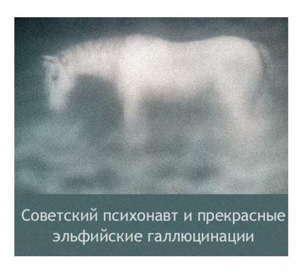 Веселые картинки на вечер Веселые картинки на вечер
