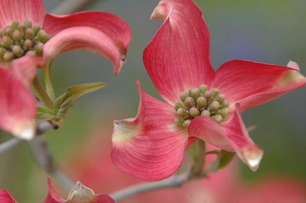 Есть только миг между прошлым и будущем... Есть только миг между прошлым и будущем...