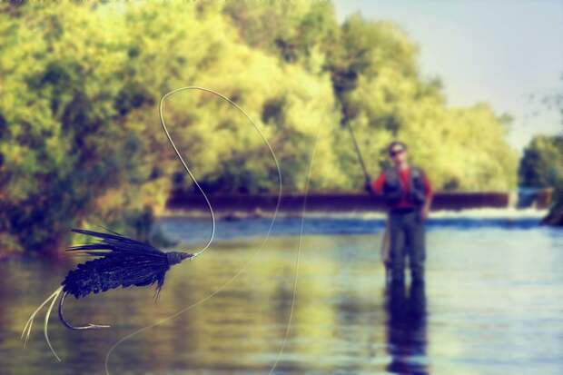 A man casts a large fishing fly towards the camera on a sunny day while standing in water