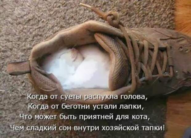 7196c04f8b715c8724306b9a9ec_prev